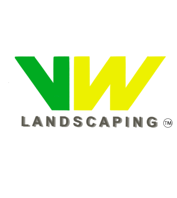 logo-check-us-out-on-social-media